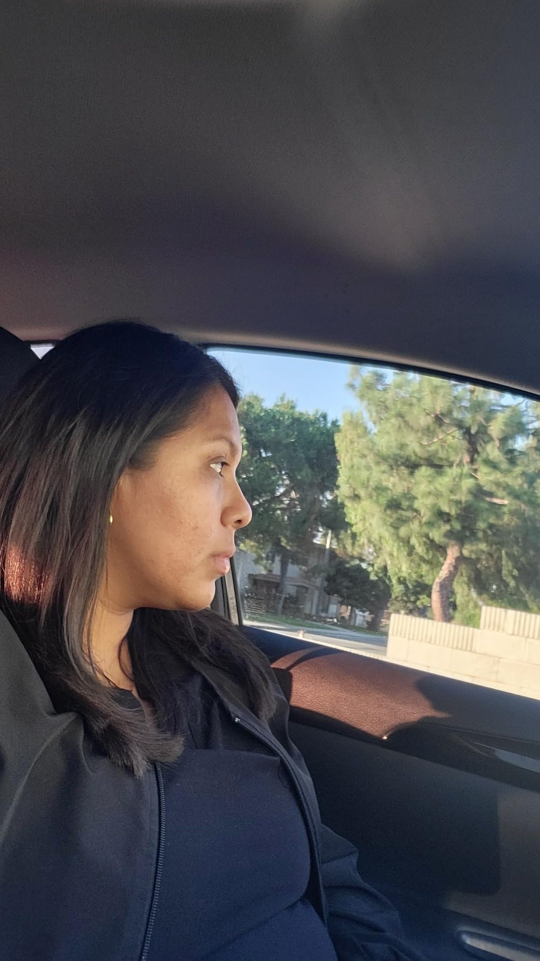 The Science of Snail: Your Path to Perfect Skin