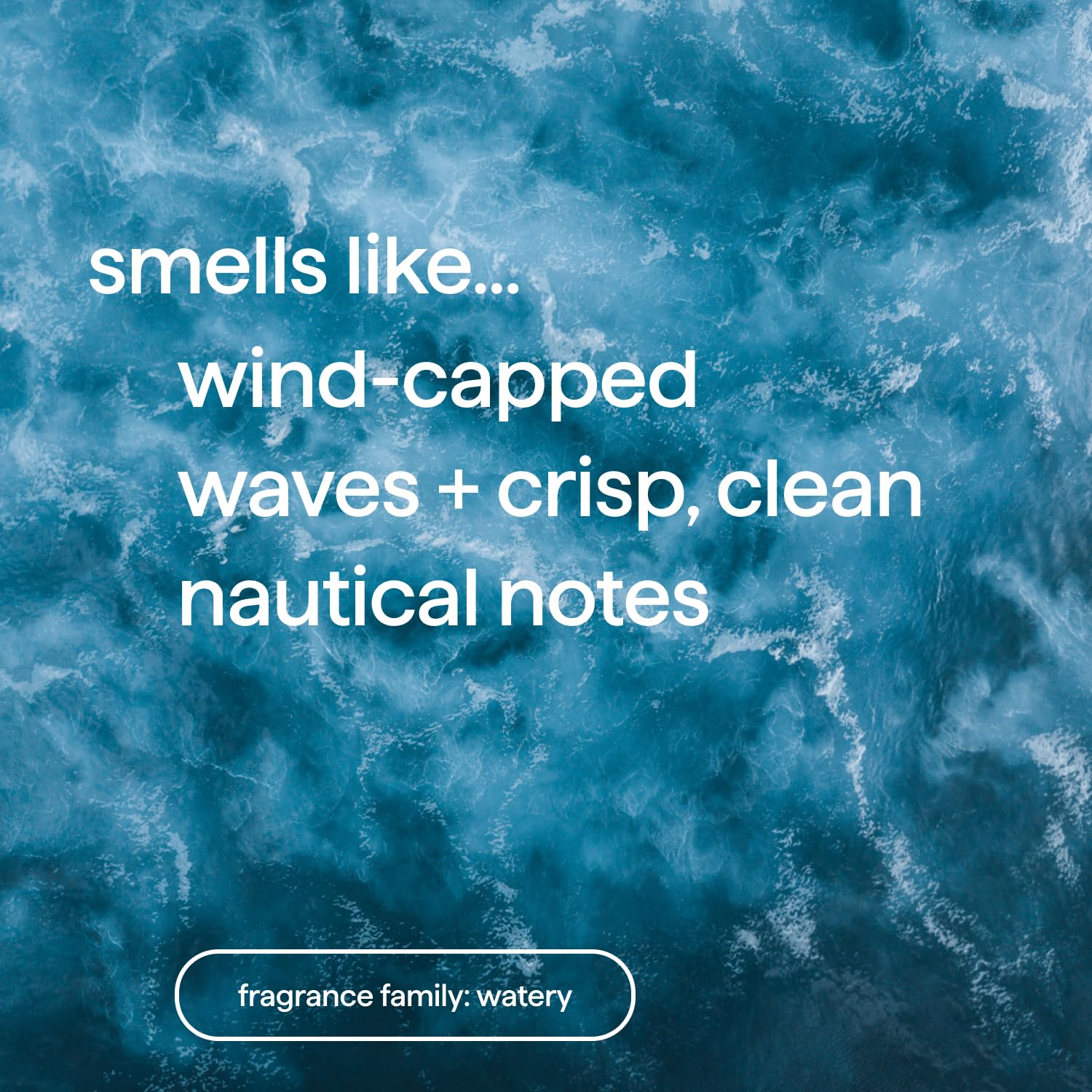 Sea + Surf: Where Coastal Luxury Meets Environmental Stewardship