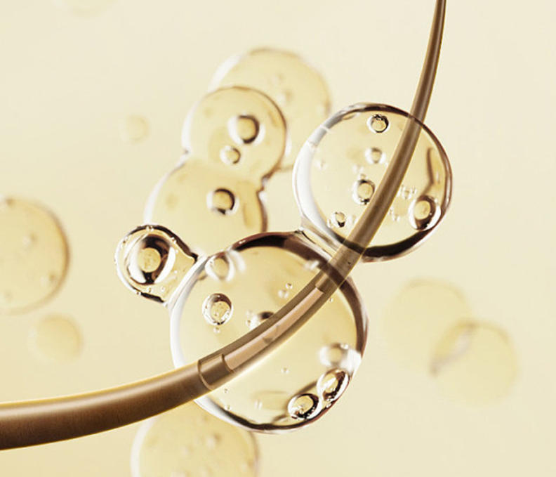 The Camellia Code: Unlocking a Realm of Weightless Volume and Serene Fragrance