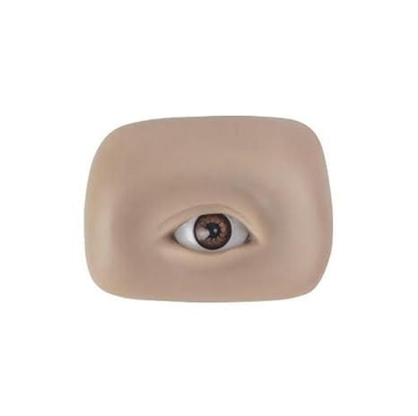 The Silent Teacher: Why Silicone Fake Eyes Are the Best Investment You’ll Make as a Lash or Brow Artist
